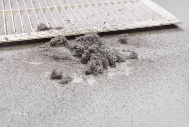 Best Air Vent Cleaning Services  in Decatur, AR
