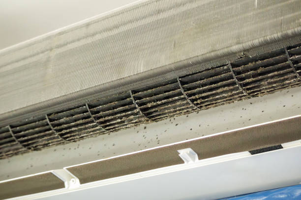 Best Duct Cleaning for Homes  in Decatur, AR